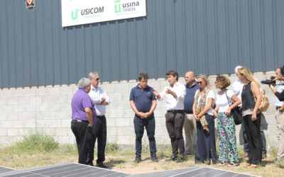 Facundo Manes recorrió uno de los parques solares de la Usina