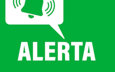 Advertencia a los usuarios por nuevos intentos de estafa en nombre de la Usina